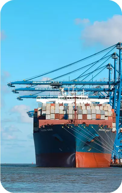 Container Management