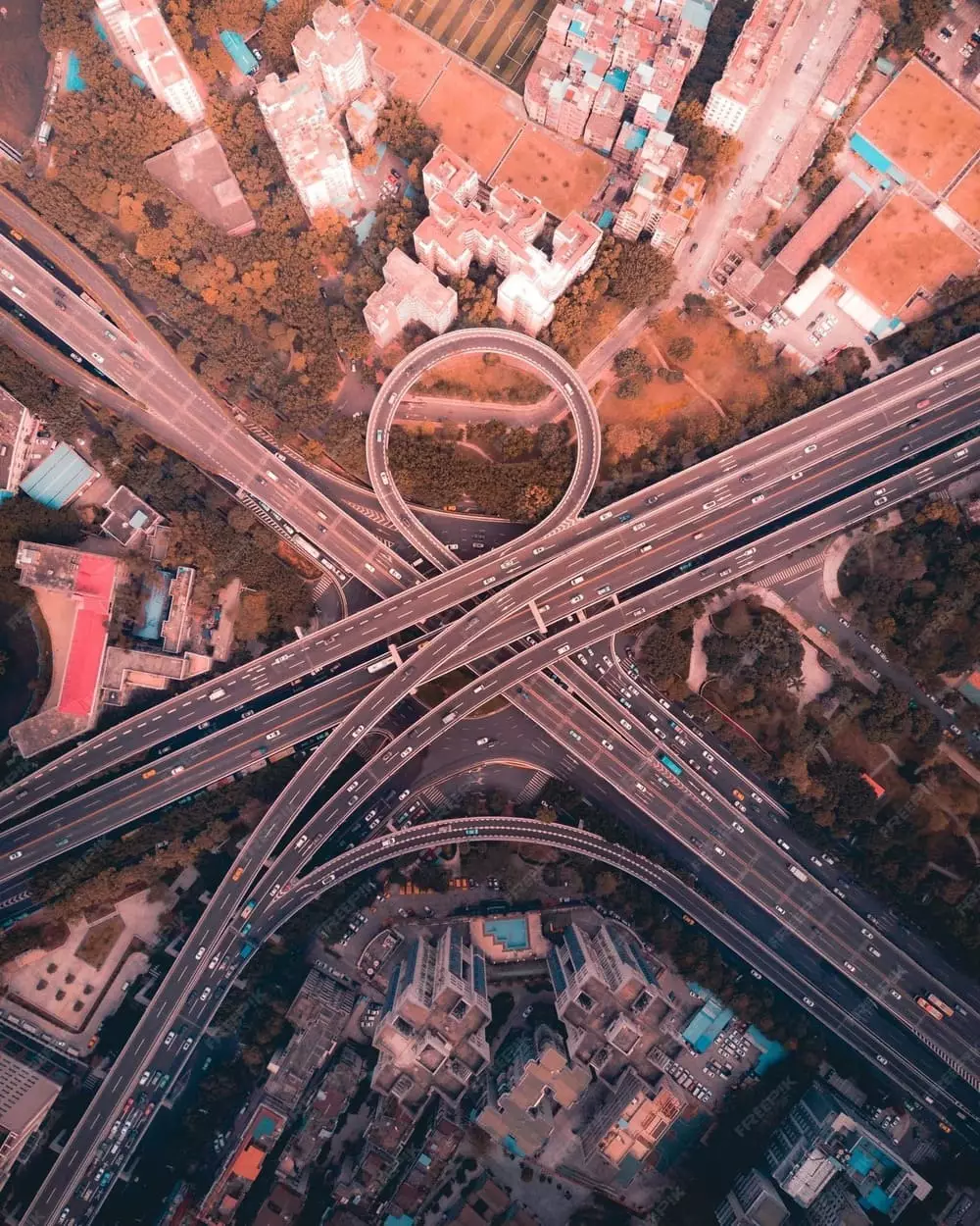 הפצה ותובלה